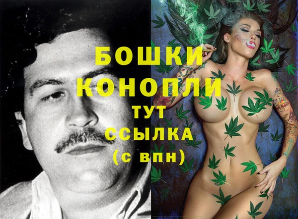 метадон Новозыбков