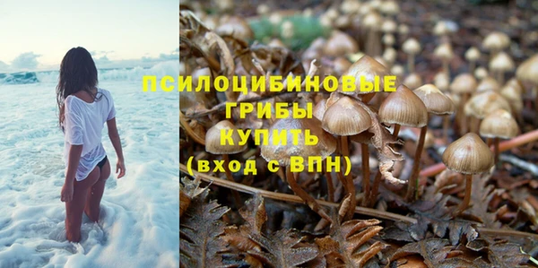 метадон Новозыбков