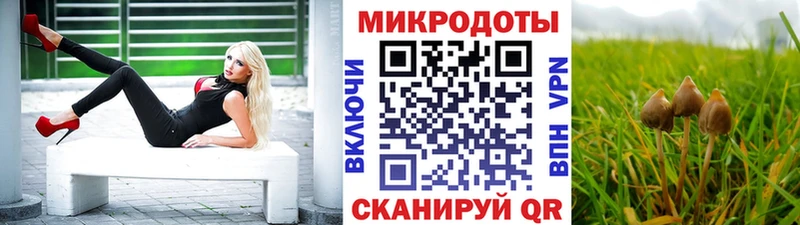 купить закладку  Чулым  Галлюциногенные грибы Psilocybe 